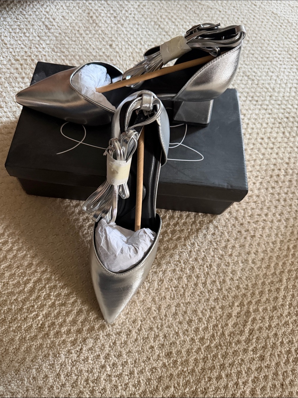 Metallic Silver Pointed Block Heel Women's Pumps